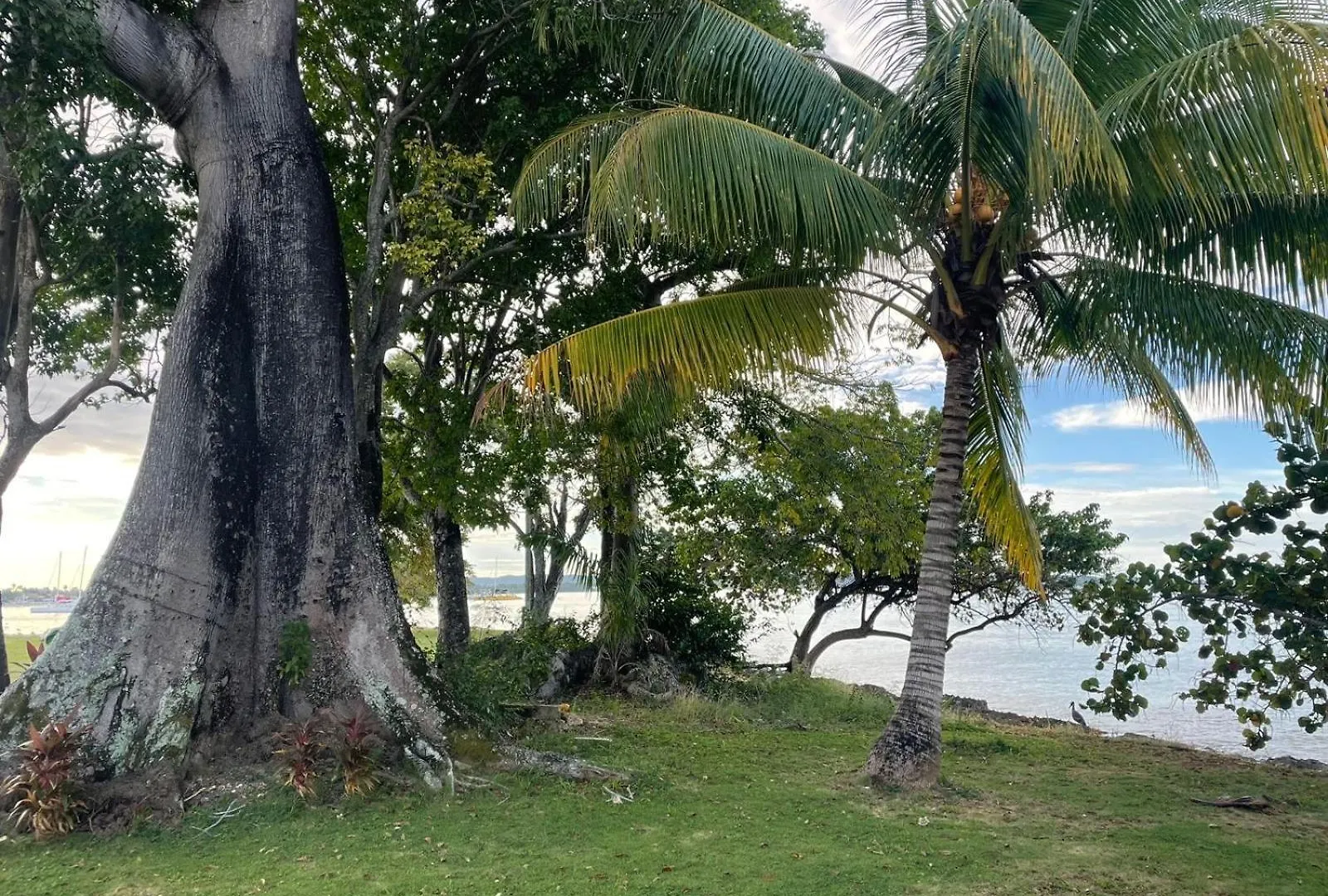 Apartment Negril Beachfront Oceanview Studios 164 & 145 Orange Bay