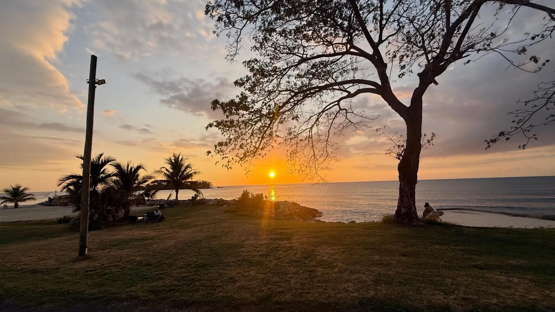 Apartment Negril Beachfront Oceanview Studios 164 & 145 Orange Bay
